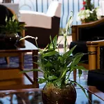 Casa Morgano كابري